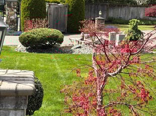 Julian I.'s Yard Cutting service result
