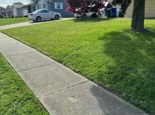 John R.'s Lawn Mowing service result