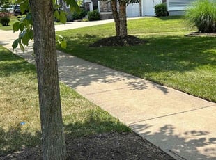 Dwight B.'s Lawn Maintenance service result