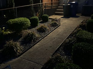 Bush Trimming by Joseph Muluya for Toya M. in Baltimore, MD