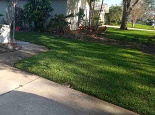 Alex S.'s Lawn Maintenance service result