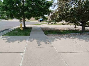Jaz M.'s Lawn Service service result