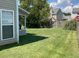 Debie G.'s Lawn Mowing service result