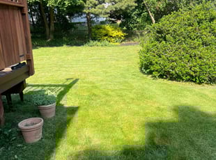 JAMES V.'s Lawn Care service result