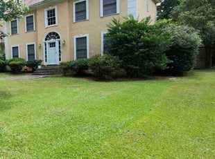 Andrea S.'s Grass Cutting service result