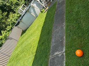 Yifei Z.'s Lawn Care service result