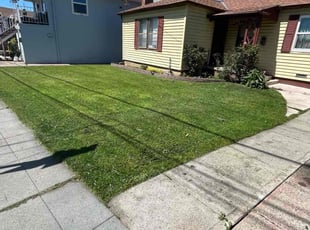 Brighton E.'s Lawn Mowing Service service result