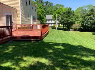 Reginald K.'s Yard Cutting service result