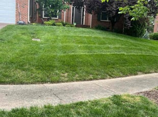 Kristina J.'s Lawn Mowing Service service result