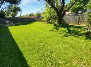Sherry L.'s Lawn Care service result