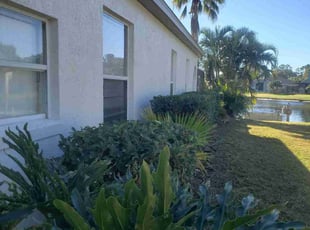 Bush Trimming by Jerry Rios for Natalie C. in Orlando, FL
