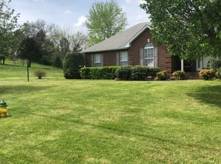 Bush Trimming by David Nease for Teresa D. in Gallatin, TN