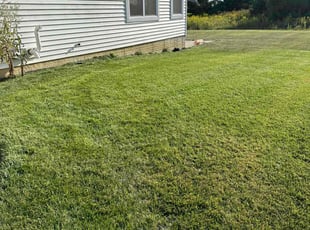 Diana W.'s Lawn Mowing service result