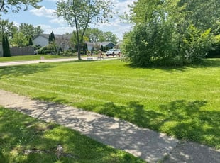 Laura S.'s Lawn Mowing service result