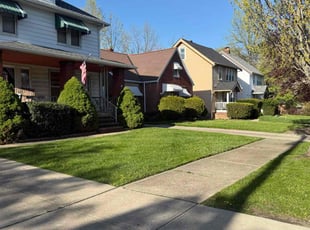 Tifanie D.'s Lawn Care service result