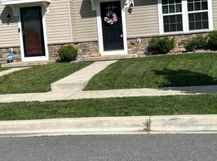 Marchelle G.'s Grass Cutting service result