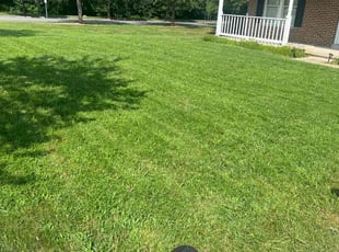 Antoinette Y.'s Lawn Maintenance service result