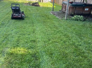 Malique B.'s Lawn Mowing service result