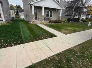 Valeria H.'s Lawn Care service result