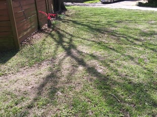 Leaf Removal by Jonathan Felton for Brett K. in Virginia Beach, VA