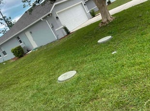 Carina G.'s Lawn Care service result