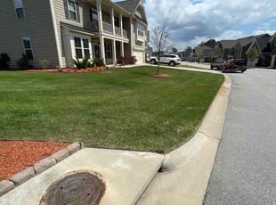 Shannon B.'s Lawn Mowing service result