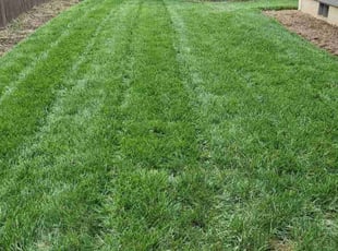 Kirk K.'s Yard Cutting service result