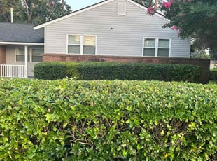 Bush Trimming by Beau Scarboro for Emanuel P. in Hampton, VA