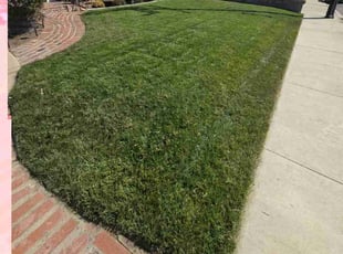 Clifton T.'s Lawn Mowing Service service result
