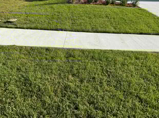 Rich J.'s Lawn Service service result