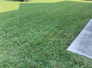 Ryan C.'s Lawn Service service result