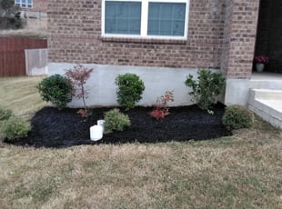 Landscaping by Allyson Lumbreras for Sarah R. in San Antonio, TX