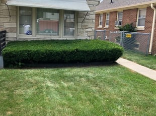 Bush Trimming by Arnan Valmont for Carmen O. in Milwaukee, WI