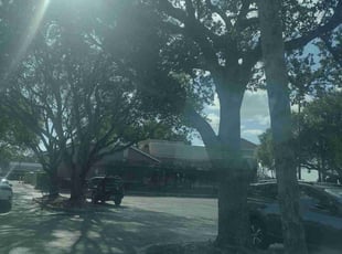 Cleanups by Shaun Whitehead for Sue A. in Lake Worth, FL