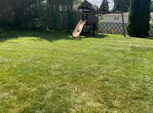 James E.'s Lawn Mowing service result