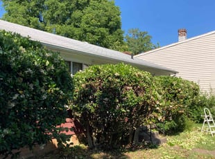 Bush Trimming by Jeremiah Tolson for Marie W. in Richmond, VA