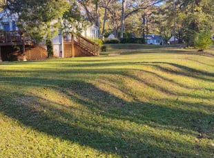 Caroline E.'s Lawn Maintenance service result