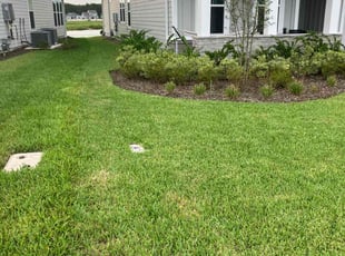 James M.'s Lawn Care service result