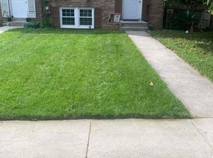 Jeannette T.'s Lawn Care service result