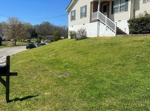 Justin S.'s Lawn Mowing service result