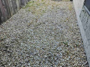Landscaping by Juan Rodriguez for James L. in Rancho Cordova, CA