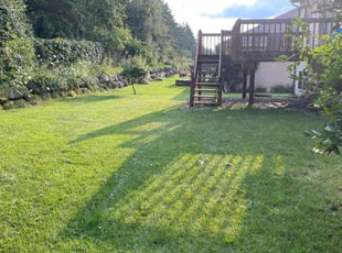 Brenda H.'s Lawn Service service result