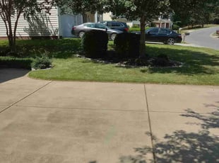 Chris S.'s Lawn Mowing service result