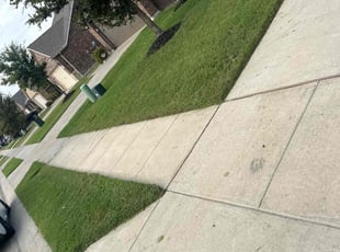 Gheric B.'s Lawn Mowing Service service result