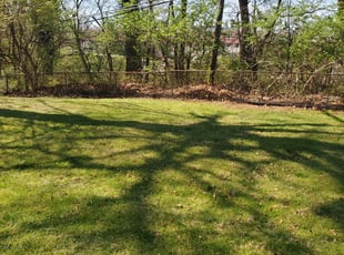 Leaf Removal by Marvin Simmons for Ron J. in Wyncote, PA