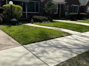 Aaliyah C.'s Lawn Care service result