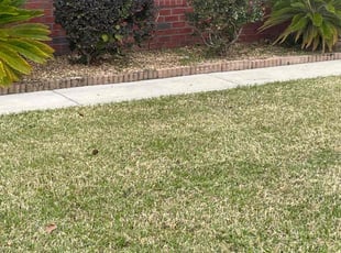 Bush Trimming by Christopher Ruiz for Paul W. in Callahan, FL