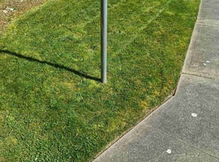 Sherry K.'s Lawn Mowing Service service result