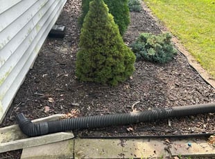 Misty C.'s Flower Bed Weeding service result