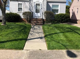 Amber T.'s Lawn Service service result